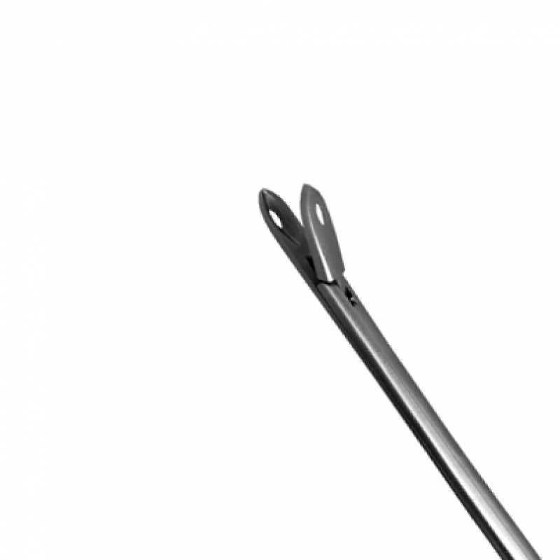 506-Blakesley Straight Large Sized