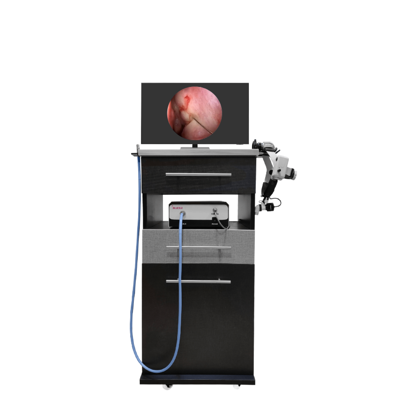 Ophthalmology lite bundle